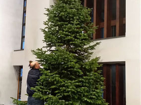 Es weihnachtet in Heilig Kreuz